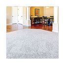Switch Zep Professional® Carpet Extraction Cleaner, Lemongrass, 1gal Bottle 3 image